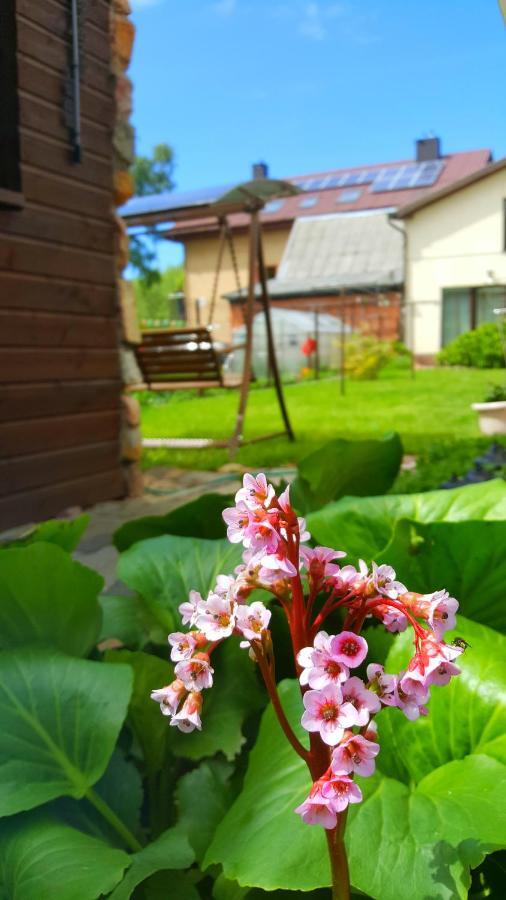 Vila Uosis Palanga Exteriör bild